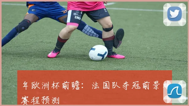 年欧洲杯前瞻：法国队夺冠前景与赛程预测