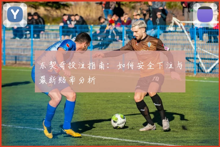 东契奇投注指南：如何安全下注与最新赔率分析